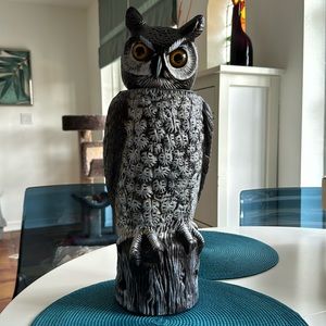 Plastic owl with a rotating head